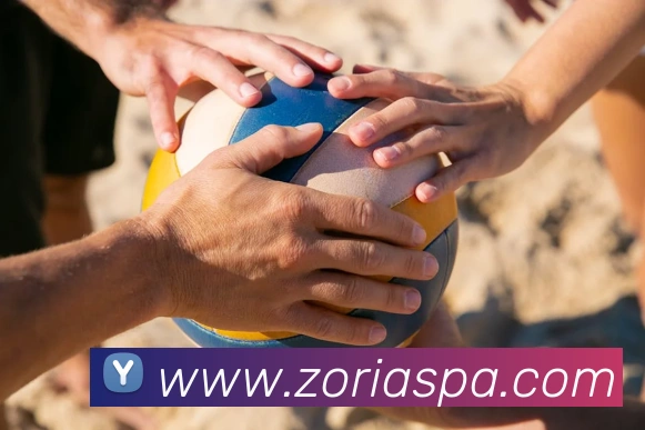 pa真人视讯平台生态图